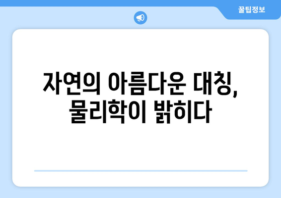 물리학이 밝힌 자연 대칭성의 원리